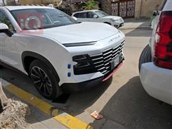 جيتور داشينج